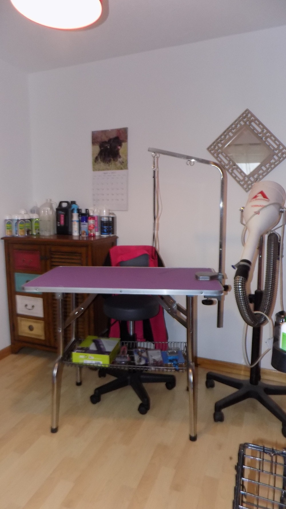 Dog grooming salon with various cleaning supplies