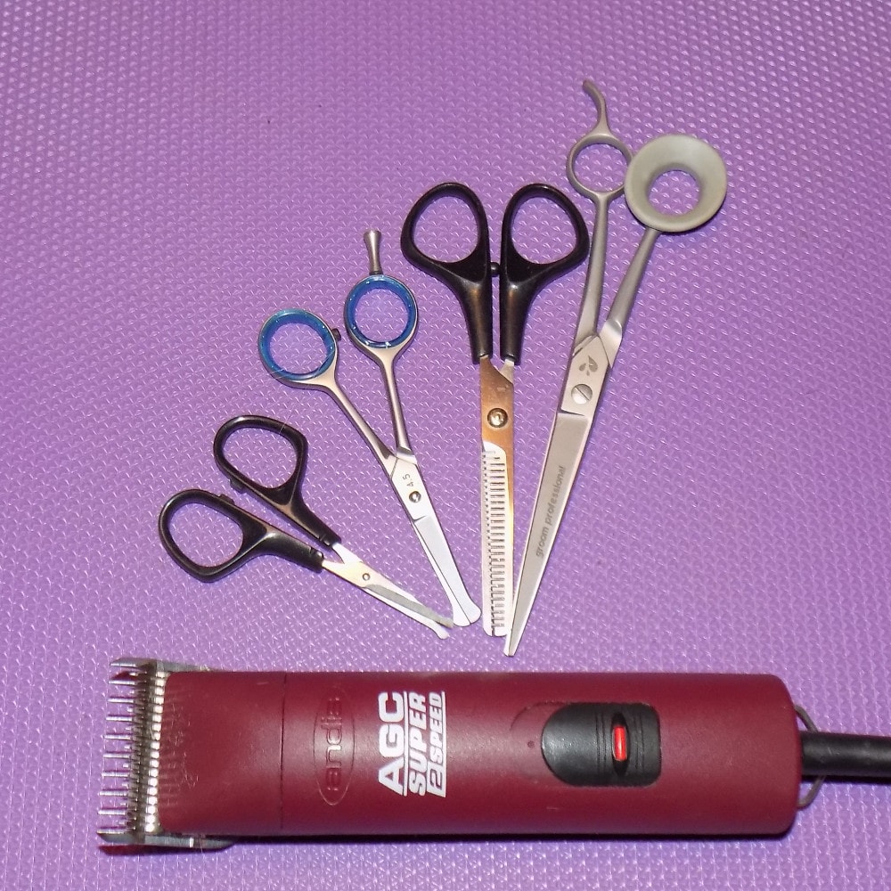 Dog grooming scissors and electric trimmer