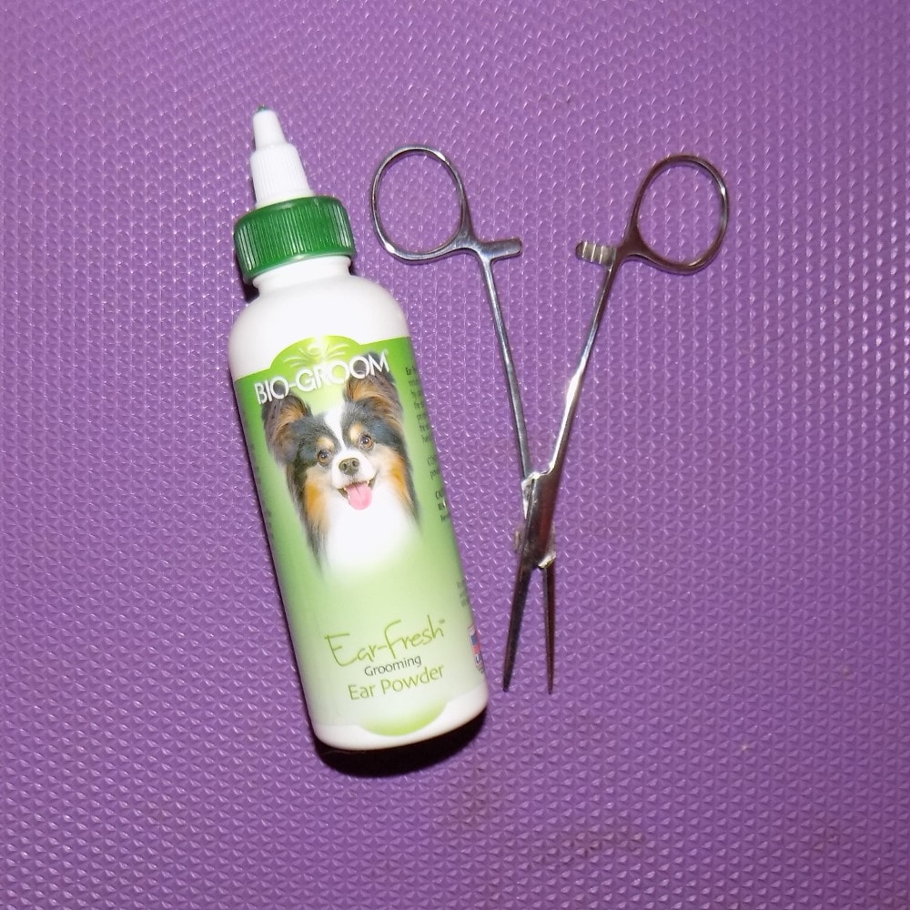 Dog ear cleaning solution and scissors
