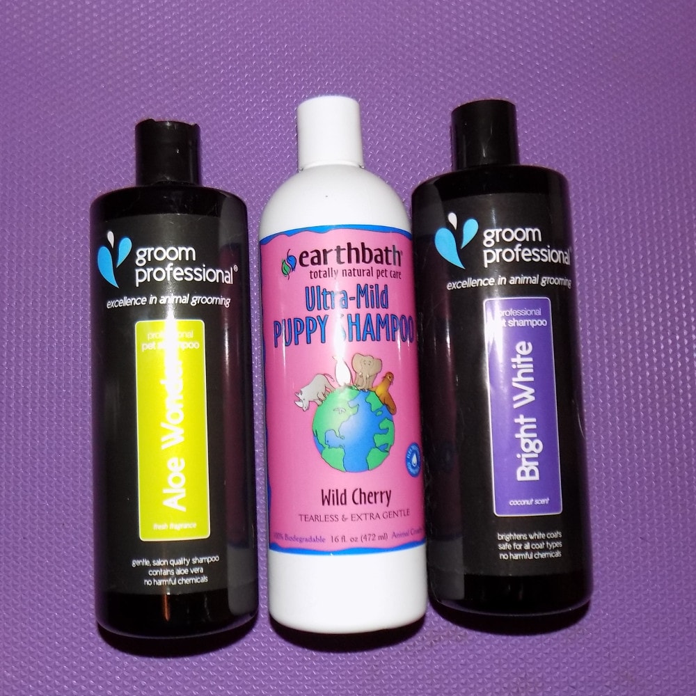 Various selection of dog shampoo products